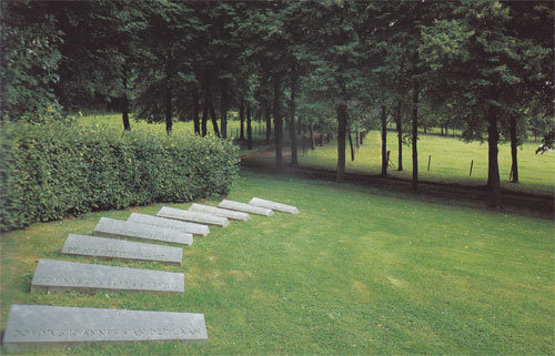 Scorcio del cimitero. In primo piano la pietra tombale di Van der Laan.