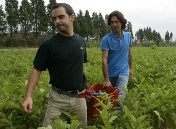 Giovani al lavoro in una cooperativa agricola nata dal Progetto Poilicoro della CEI