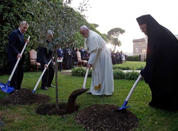 Vaticano, 8 giugno 2014. Papa Francesco insieme a Shimon Peres, Mahmoud Abbas e a Bartolomeo I, pianta un ulivo per la pace 
